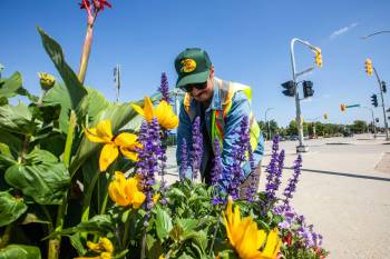 Floral traffic flow