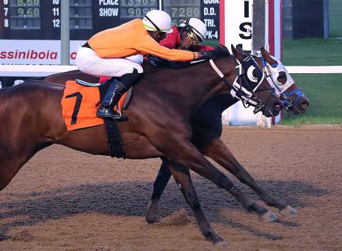 Jason Halstead / Assiniboia Photo
                                Designated Hitter and jockey Javaniel Patterson (inside) hold off Totalizer and jockey Rachaad Knights to win the third race Wednesday at ASD.