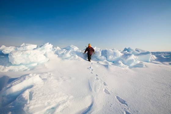 A ranger patrols the Arctic Passage in Resolute, Nunavut. (Sean Kilpatrick / The Canadian Press)