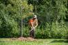 BROOK JONES / FREE PRESS
                                Urban Forestry Branch worker Stephan Nault places woodchips around a newly planted silver cloud seedling. Winnipeg&rsquo;s forestry strategy aims to expand the local tree canopy to cover 24 per cent of the city, up from 17 per cent, by 2065.