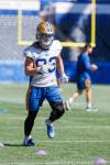 MIKE DEAL / FREE PRESS
                                Winnipeg Blue Bombers’ Dalton Schoen has missed the last-six games with the club. It’s the receiver’s second straight season hampered by injury.