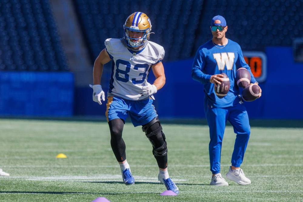 MIKE DEAL / FREE PRESS
                                The return of Winnipeg Blue Bombers receiver Dalton Schoen (left), along with the additions of receivers Kyran Moore and Cam Echols to the roster, should help the team build off last week’s victory to capture a critical two points in the standings on Sunday in the annual Labour Day Classic.