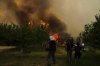 People try to control a wildfire in Vounteni, on the outskirts of Patras, western Greece, Wednesday, Aug. 13, 2025. (AP Photo/Thanassis Stavrakis)