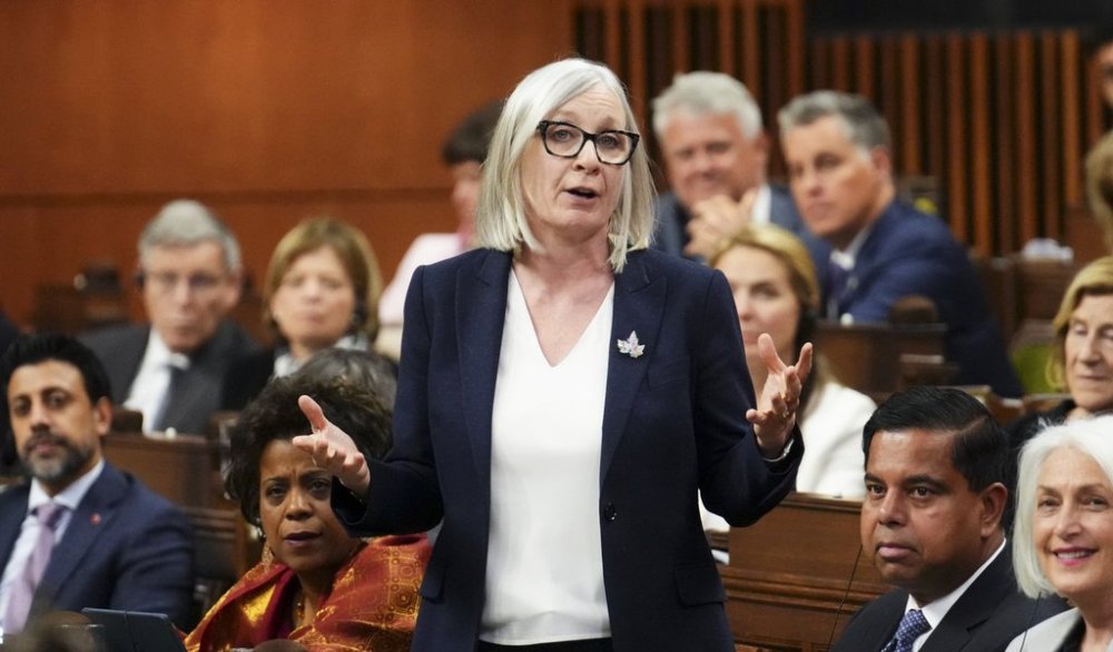 Minister of Jobs and Families Patty Hajdu rises during question period in House of Commons on Parliament Hill in Ottawa on Thursday, May 29, 2025. THE CANADIAN PRESS/Sean Kilpatrick
