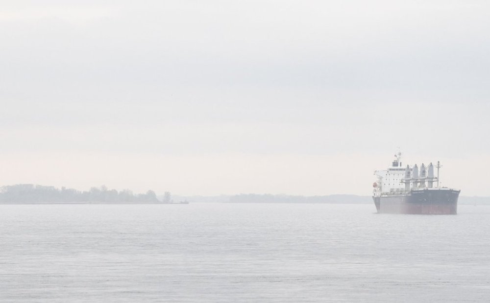 The bulk carrier Morning Orchid is seen on the St. Lawrence River at Sorel-Tracy, Que., on Saturday, May 17, 2025. THE CANADIAN PRESS/Christinne Muschi