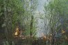 The use of images from space and artificial intelligence can help in detecting areas that may be prone to extreme wildfires, researchers suggest. A fire burns as fire crews continue to fight wildfires around Lac du Bonnet, Man., Thursday, May 15, 2025. THE CANADIAN PRESS/David Lipnowski