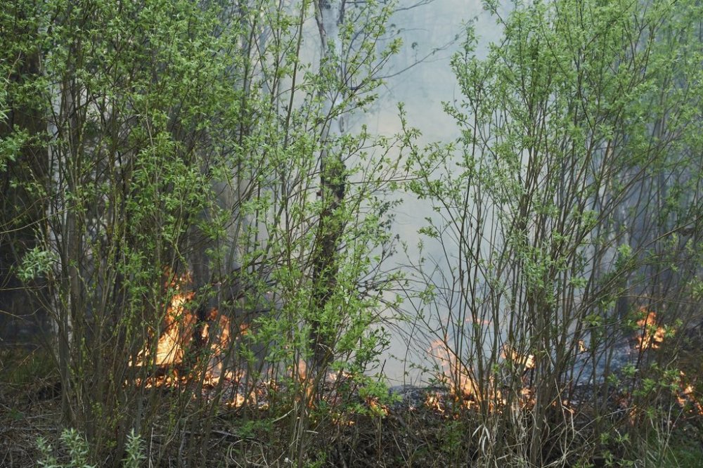 The use of images from space and artificial intelligence can help in detecting areas that may be prone to extreme wildfires, researchers suggest. A fire burns as fire crews continue to fight wildfires around Lac du Bonnet, Man., Thursday, May 15, 2025. THE CANADIAN PRESS/David Lipnowski