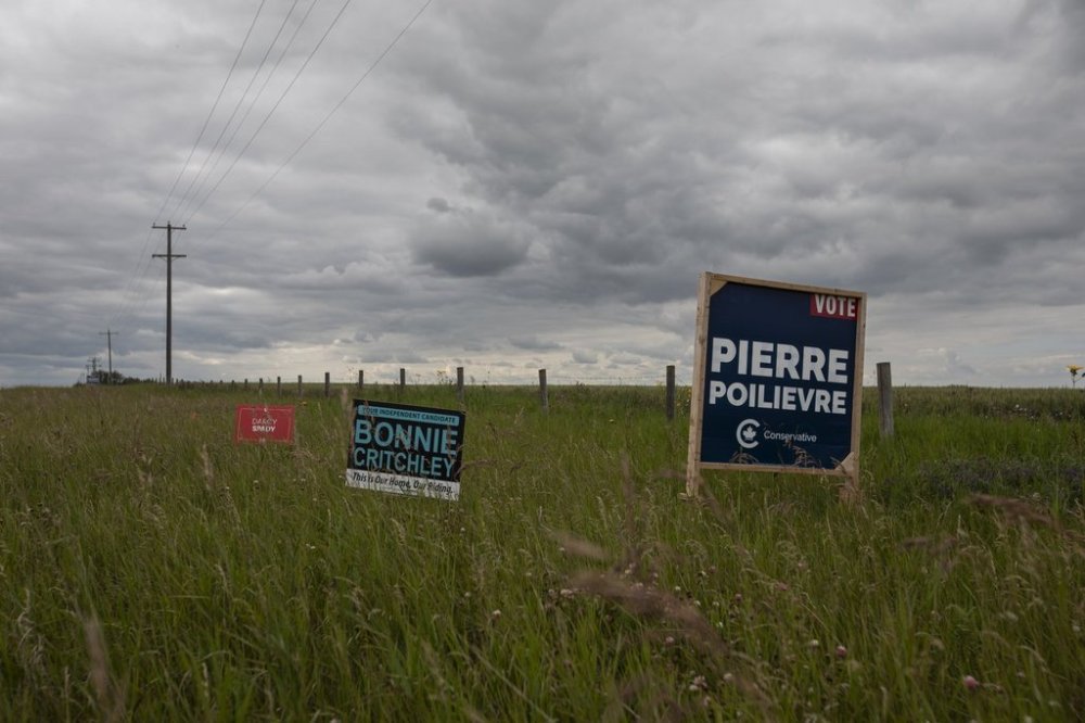 A campaign sign for independent candidate Bonnie Critchley next to signs for Pierre Poilievre and Darcy Spady in the riding of Battle River-Crowfoot in Camrose, Alta., on Tuesday, July 22, 2025. THE CANADIAN PRESS/Amber Bracken