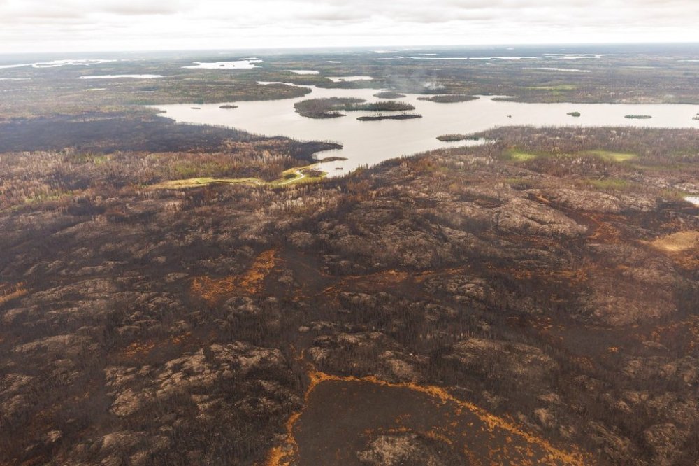 Trees burned by wildfires in northern Manitoba are shown during a helicopter tour in the surrounding area of Flin Flon, Man. on Thursday, June 12, 2025. THE CANADIAN PRESS/Mike Deal-Pool