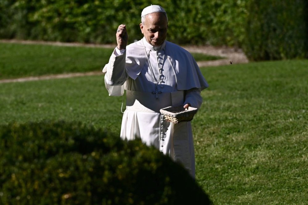 Pope Leo XIV feeds fishes of a pond during the inauguration of the