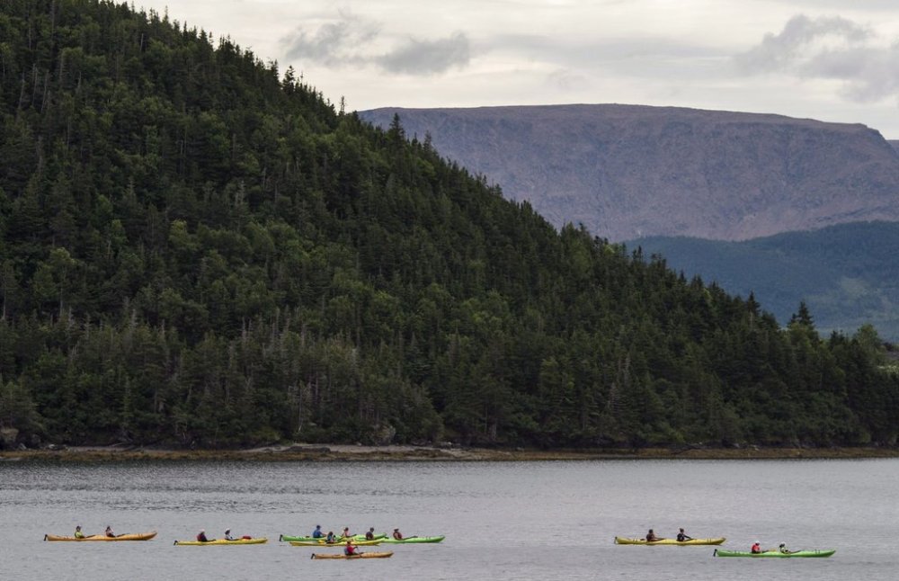 Kayakers in Neddy Harbour paddle through in Gros Morne National Park, Newfoundland and Labrador, on Monday, August 15, 2016. THE CANADIAN PRESS/Darren Calabrese