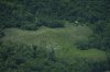 In this undated photo provided by the Organization of Indigenous Peoples of the Eastern Amazon, a home belonging to an uncontacted Indigenous group is visible in the Loreto region of the Peruvian Amazon. (ORPIO via AP)