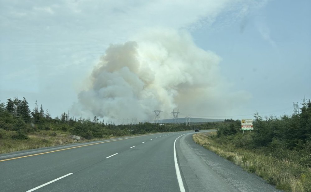 A fire is seen, in this handout photo, near Paddy’s Pond, just outside St. John’s, N.L., on Monday, Aug. 11, 2025. THE CANADIAN PRESS/Handout- Diana Daly (Mandatory Credit)