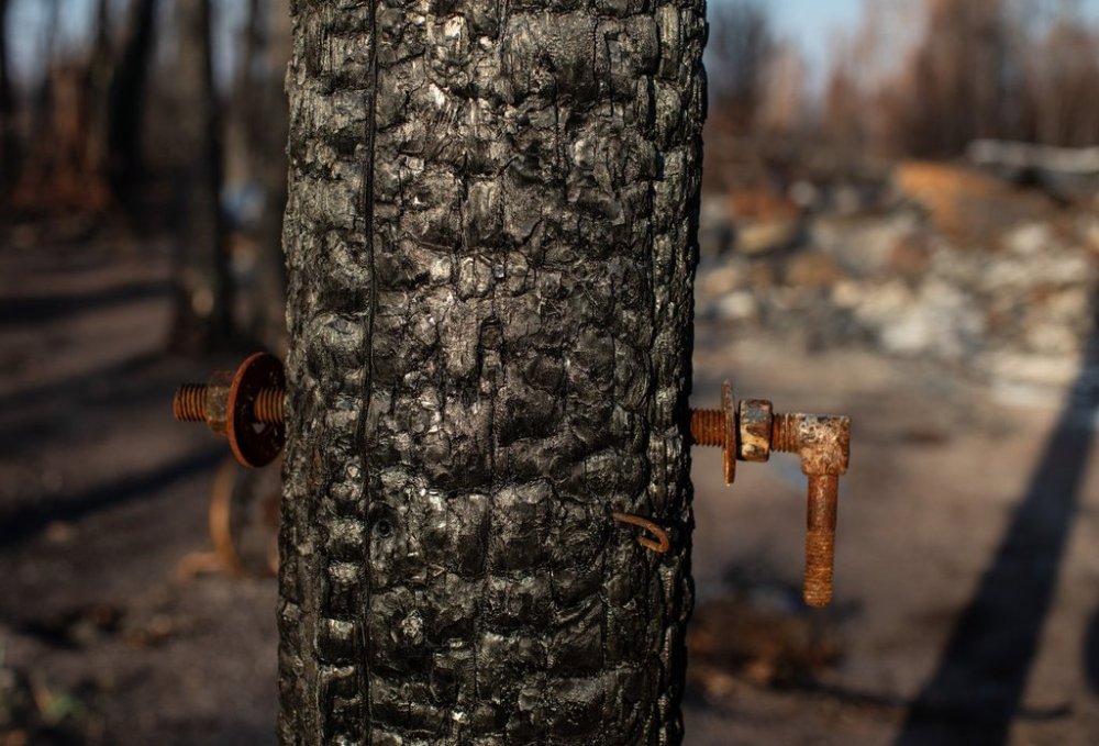 A telephone pole burnt in a residential area destroyed by the wildfires is shown in Enterprise, Northwest Territories on Wednesday October 11, 2023. THE CANADIAN PRESS/Jason Franson