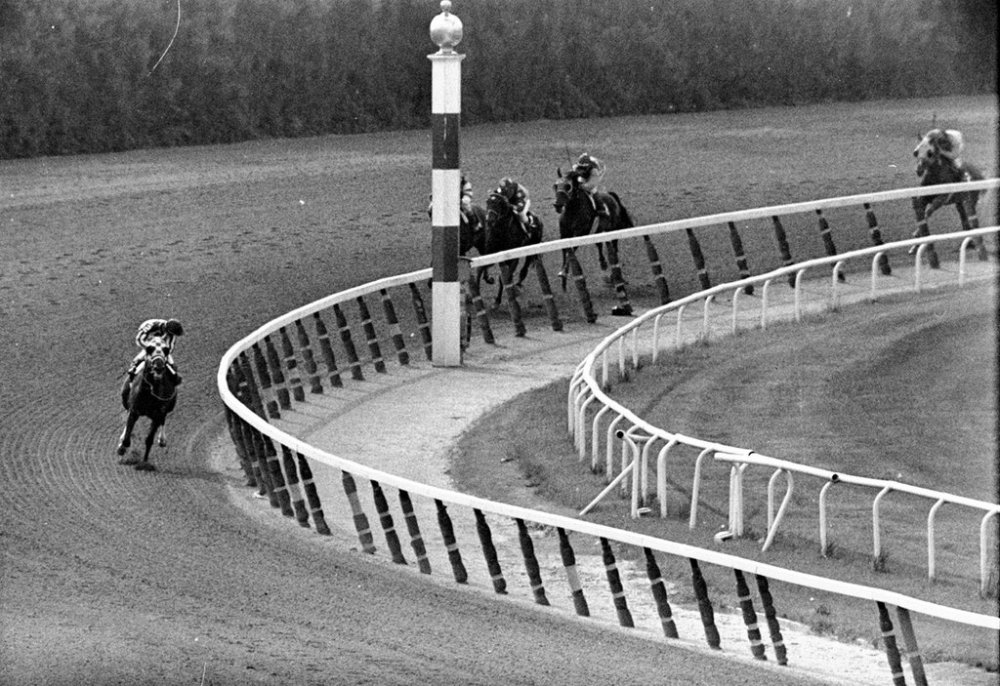 Jockey Ron Turcotte, aboard Secretariat, turns for a look at the field many lengths behind, June 9, 1973, as they make the final turn on his way to winning the Belmont Stakes and the 1973 Triple Crown. (AP Photo/Dave Pickoff)
