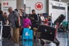 Travellers wait outside the Air Canada departure gates as flight attendants strike at Pearson International Airport in Toronto on Saturday, Aug. 16, 2025. THE CANADIAN PRESS/Sammy Kogan