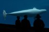 Visitors watch as a beluga whale swims in a tank  at Marineland amusement park in Niagara Falls, Ont., Friday, June 9, 2023. THE CANADIAN PRESS/Chris Young