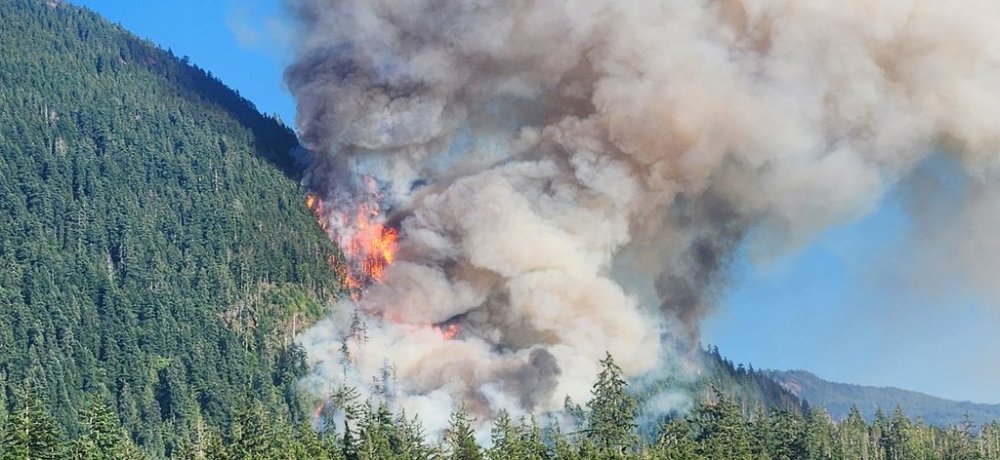 The Mount Underwood wildfire is seen in this handout photo, southwest of Port Alberni, B.C., on Monday, Aug. 11, 2025. THE CANADIAN PRESS/Handout- BC Wildfire Service (Mandatory Credit)