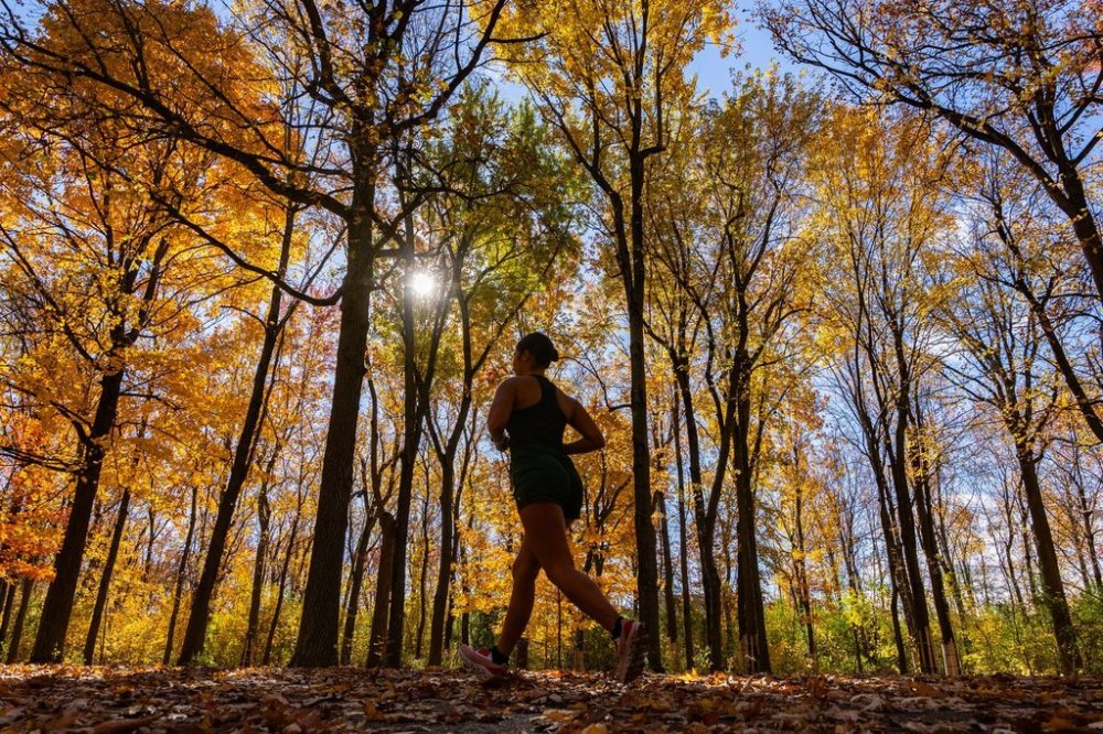A woman jogs in a park surrounded by fall foliage in Montreal, Thursday, Oct. 24, 2024. THE CANADIAN PRESS/Christinne Muschi