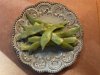 This Aug. 27, 2025, image provided by Jessica Damiano shows pickled green beans served on a decorative plate on Long Island, N.Y. (Jessica Damiano via AP)