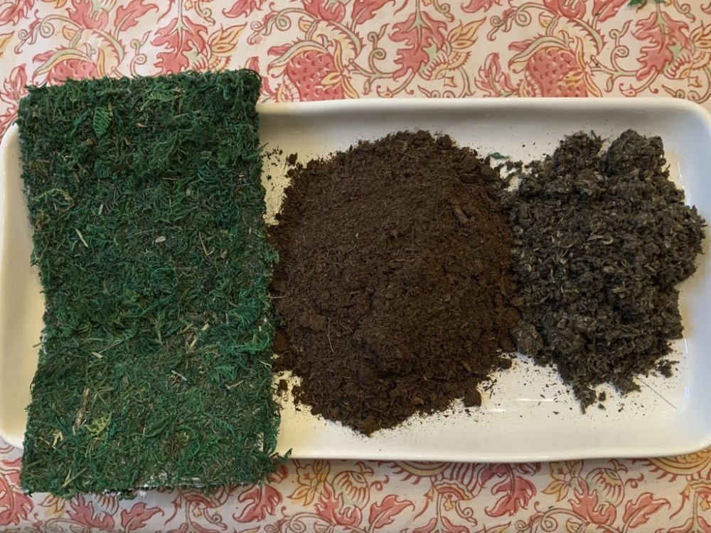 This Dec. 1, 2019, image provided by Jessica Damiano shows the supplies needed to make a kokedama, sheet moss, peat moss and potting mix (left to right) laid out on a plate on Long Island, N.Y. (Jessica Damiano via AP)