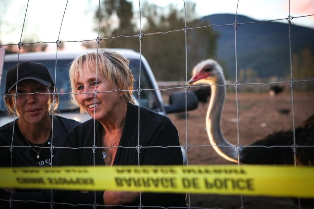 Karen Espersen, centre, the co-owner of Universal Ostrich Farms, speaks with supporters with her daughter, Katie Pasitney, at the farm in Edgewood, B.C., on Monday, Sept. 22, 2025, as the Canadian Food Agency prepared to cull 400 of the farm’s ostriches this week. The farm has since been granted an interim stay. THE CANADIAN PRESS/Aaron Hemens