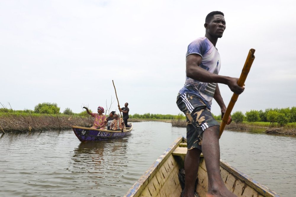 Women ride boats to harvest oysters at Tsokomey, Ghana, Aug. 6, 2025. (AP Photo/Misper Apawu)