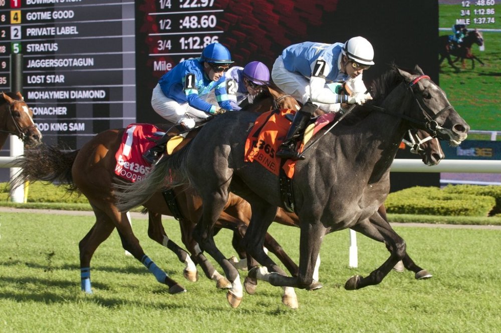 Jockey Sahin Civaci rides Ciunas at Woodbine Racetrack in Toronto in this Aug. 24, 2025 handout photo. Trainer Roger Attfield, a Hall of Famer in Canada and the U.S., chases is a 10th career win Sunday in the $400,000 Breeders' Stakes, the third and final leg of the OLG Canadian Triple Crown. Attfield will send Ciunas postward in the 1 1/2-mile turf race. THE CANADIAN PRESS/Handout — Woodbine, Michael Burns Photo (Mandatory credit)