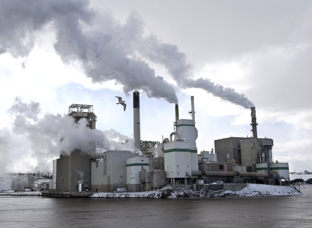 An Irving Pulp and Paper Ltd. mill is seen in Saint John, N.B., on Thursday, March 7, 2019. THE CANADIAN PRESS/Andrew Vaughan