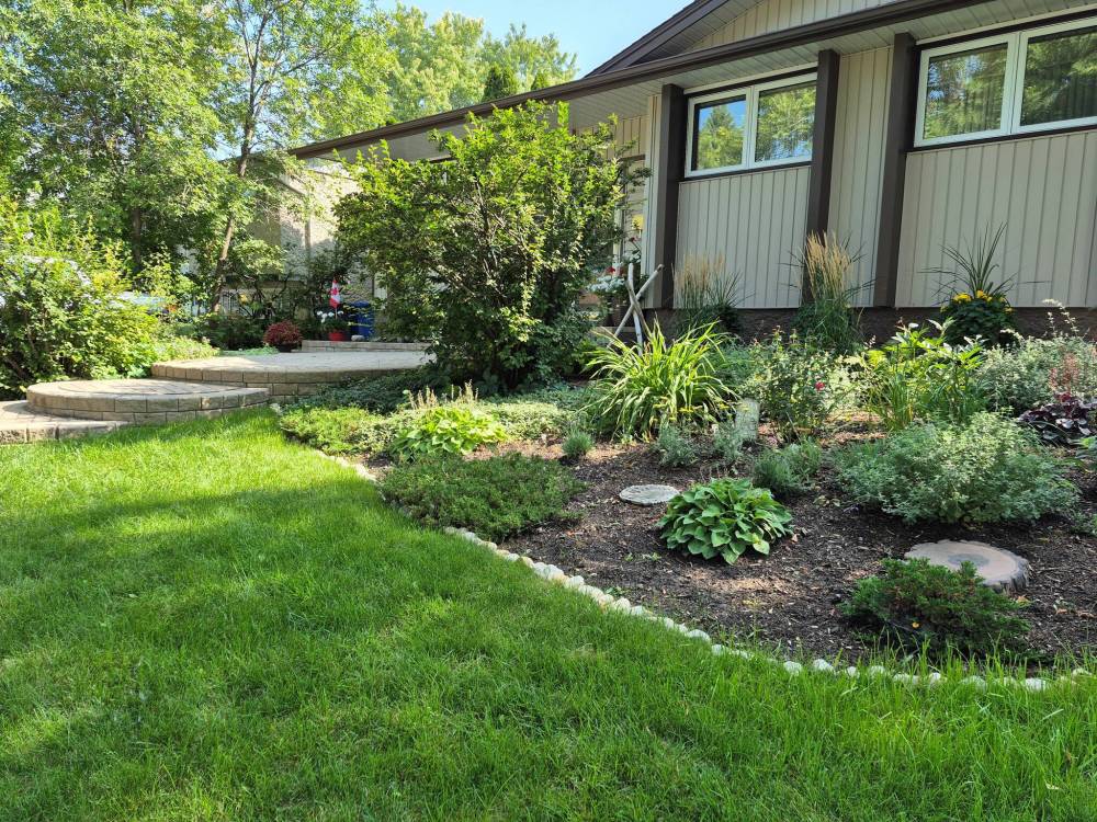 Colleen Zacharias photo
                                After the removal of three massive evergreens past their prime, this Winnipeg front yard has transitioned from deep shade to a sunny garden filled with pollinators.