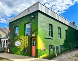 Shel Zolkewich photo
                                You can’t miss the delightful hid’n hollow children’s store, packed with toys, books, baby goods and plenty of ideas to let those imaginations soar.