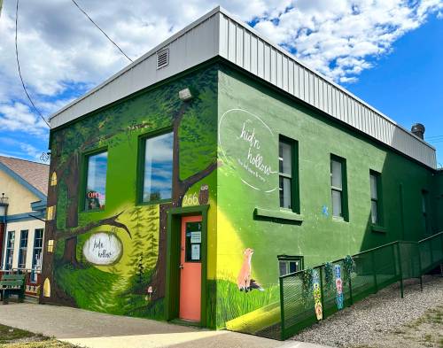 Shel Zolkewich photo
                                You can’t miss the delightful hid’n hollow children’s store, packed with toys, books, baby goods and plenty of ideas to let those imaginations soar.