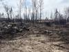 SUPPLIED
                                Cottage owner Jeff Oman is rebuilding after his property northeast of Lac du Bonnet was destroyed by May’s wildfire.