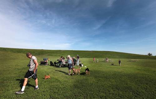 PHIL HOSSACK / FREE PRESS FILES
                                Kilcona Park is a 48-hectare off-leash dog area, adjacent to Highway 59 in the northeast quadrant of the city.