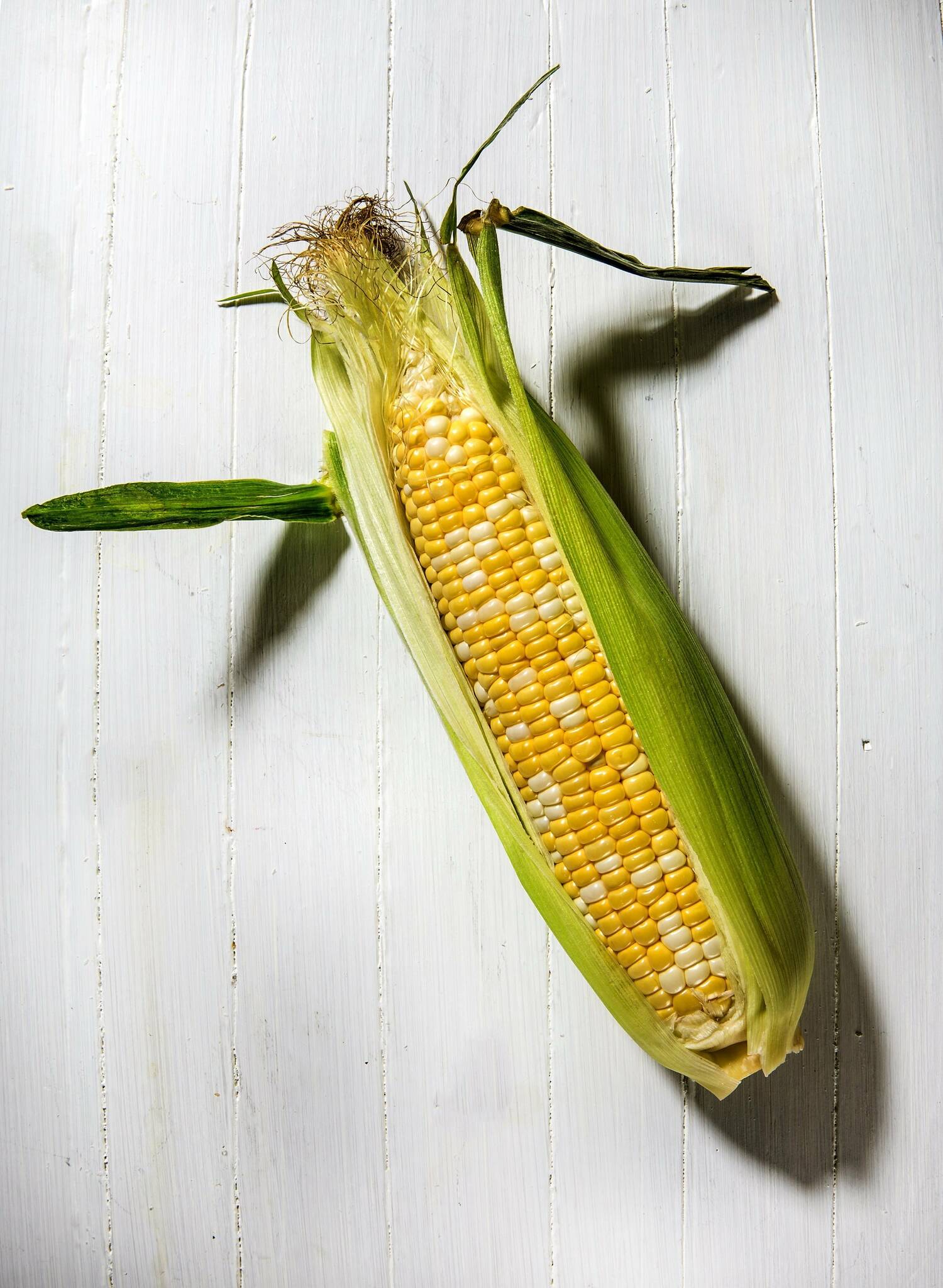 Korn on the Cob – Winnipeg Free Press