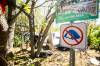 MIKAELA MACKENZIE / FREE PRESS
                                A no tenting sign along the river south of the Alexander Docks. Winnipeg city council has voted to ban encampments from many public spaces.