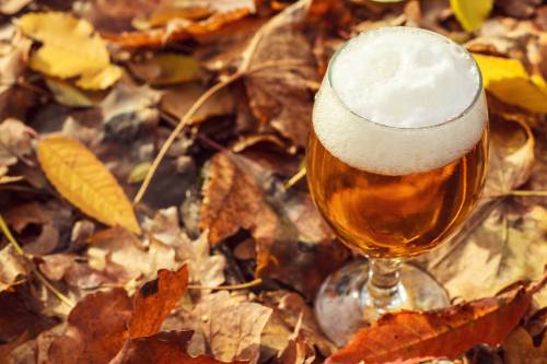 Hiddenhallow / Adobe Stock
                                Glass of light beer on a forest floor leaves on an autumn day