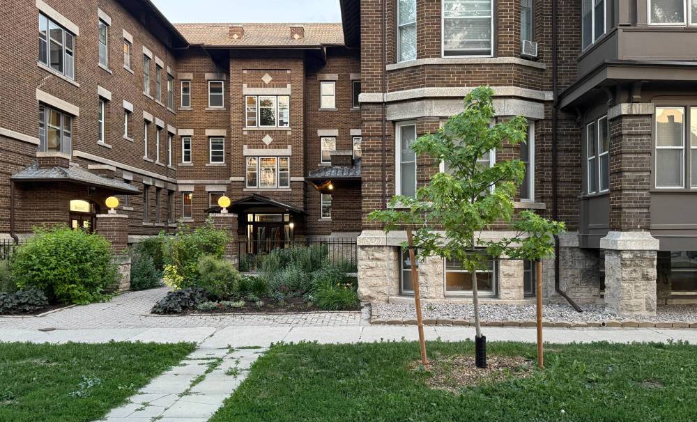 Brent Bellamy/Submitted
Urban tree planting increased from 1,200-2,000 trees a year to 7,000 this summer.