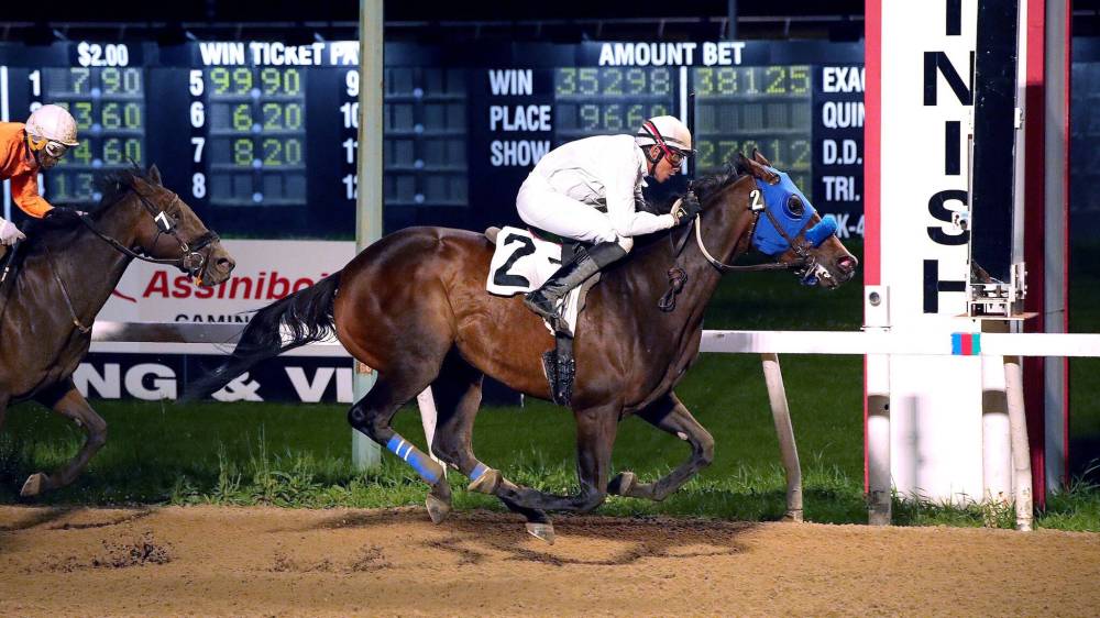 Jason Halstead / Assiniboia Photo
Longshot Little Eddie wins the sixth race Wednesday night with Sven Balroop in the saddle.