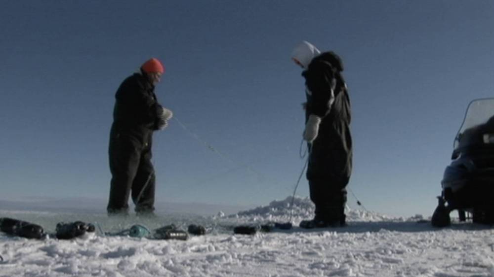 Supplied
Mikomiing by Leonard Sumner screens Saturday at the Rachel Browne Theatre.