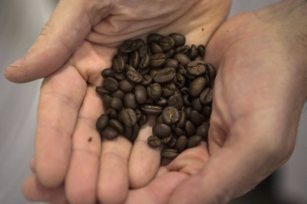 Coffee beans are held by an employee at Club Coffee's plant in Toronto on Thursday, Nov. 2, 2017. THE CANADIAN PRESS/Chris Young