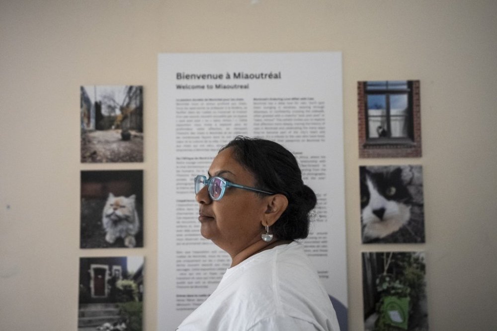 Aqeela Nahani poses for a photograph inside the Montreal Cat Museum: Le Miaousee, in Montreal on Thursday, Sept. 11, 2025. THE CANADIAN PRESS/Christopher Katsarov
