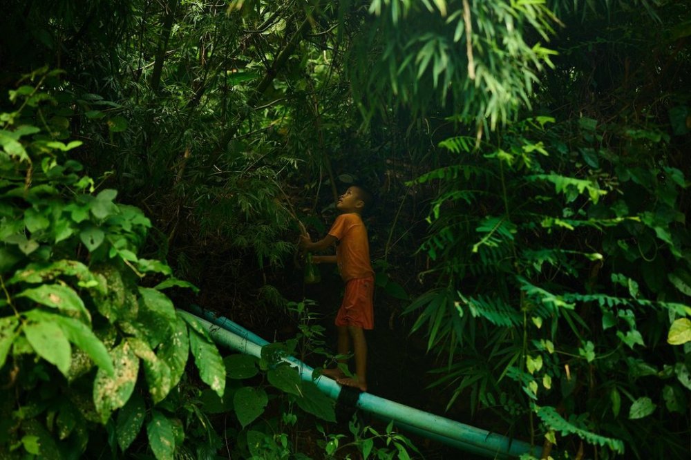 A child refugee from Myanmar stands on a water pipe while foraging for food in a forest near the Mae La refugee camp in the Tak province of Thailand, Thursday, Aug. 28, 2025. (AP Photo/Bram Janssen)