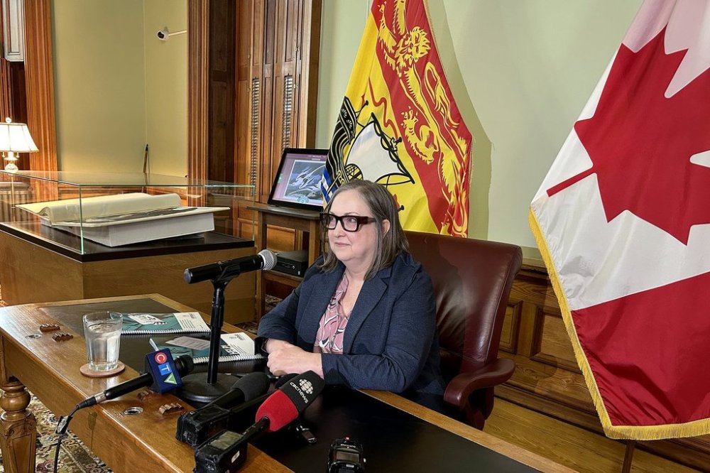 New Brunswick ombudsperson Marie-France Pelletier speaks to media at the provincial legislature in Fredericton, Tuesday, Sept. 23, 2025. THE CANADIAN PRESS/Hina Alam