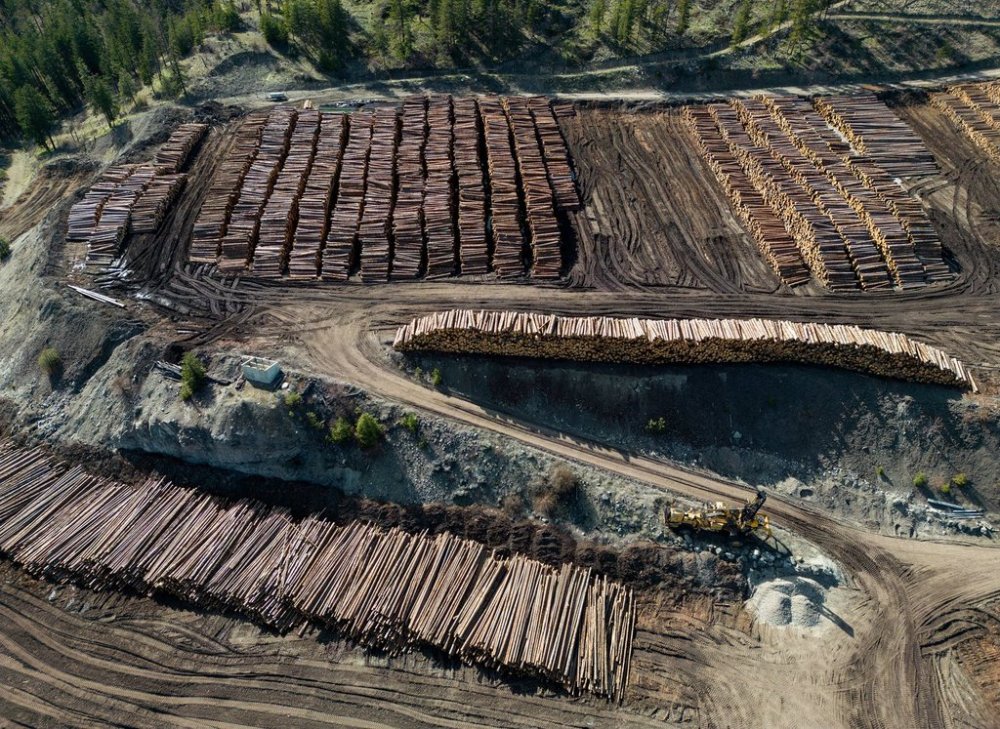 Logs are seen stacked at Gorman Brothers Lumber sawmill in West Kelowna, B.C., on Friday, April 4, 2025. THE CANADIAN PRESS/Darryl Dyck