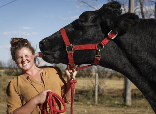 Jasmine Entz gets a kiss from her Guinness World Record breaking eight-year-old Holstein steer called 