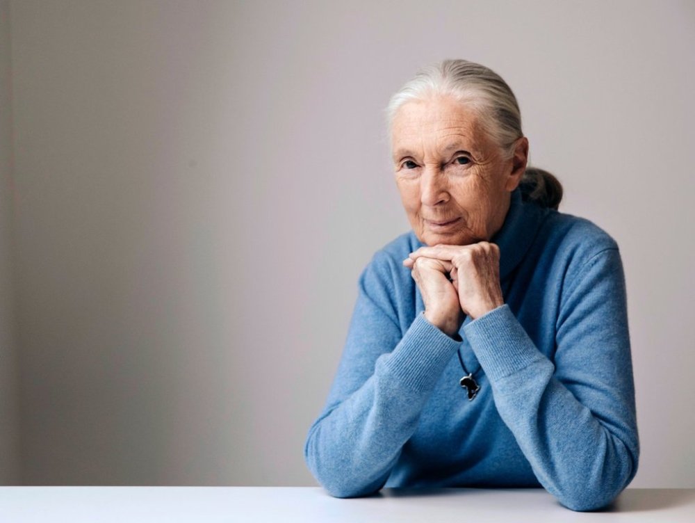 FILE - British primatologist, ethologist, and anthropologist Jane Goodall poses for a portrait in New York to promote the Disneynature film,