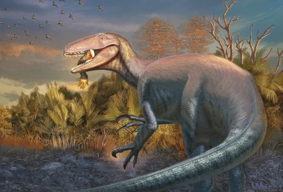 An artist's illustration of the newly discovered dinosaur Joaquinraptor casali with an ancient crocodile relative's front leg in its mouth. (Andrew McAfee, Carnegie Museum of Natural History via The Associated Press)