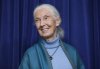 This April 3, 2019 file photo shows primatologist Jane Goodall being honoured for her lifetime achievements at a ceremony on her 85th birthday in Los Angeles. (AP Photo/Damian Dovarganes, File)