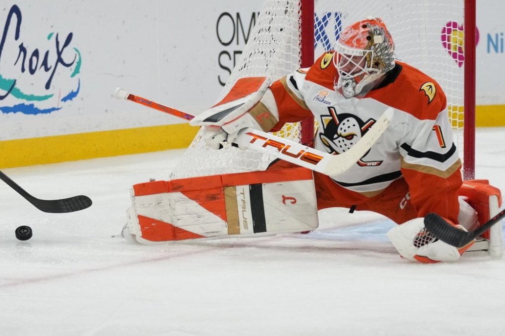 Anaheim Ducks goaltender Lukas Dostal (1) defends the goal during the second period of an NHL hockey game against the Florida Panthers, Tuesday, Oct. 28, 2025, in Sunrise, Fla. (AP Photo/Lynne Sladky)